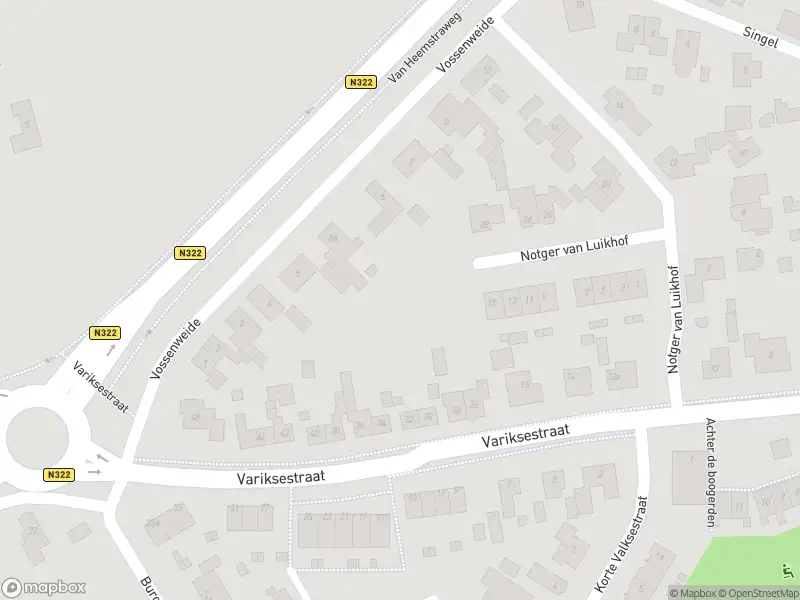 Brandweer met grote spoed naar de Van Heemstraweg in Heerewaarden