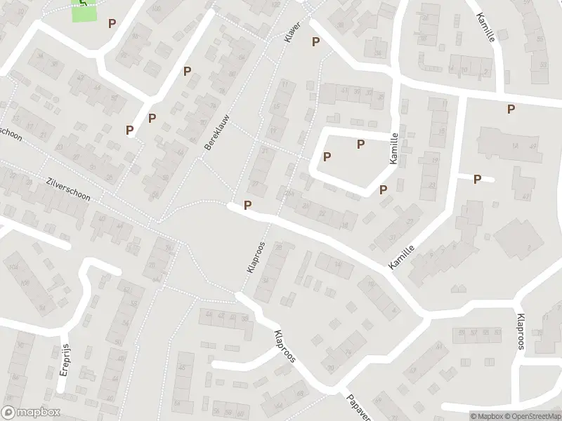 Overlastmelding Aalscholverstraat in 4251VX Werkendam