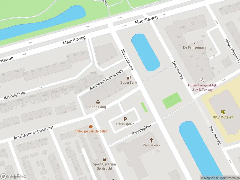 Overlastmelding Amalia van Solmsstraat in Dordrecht gesloten