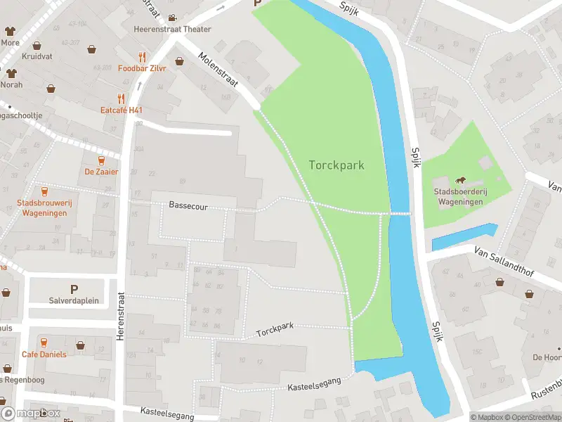 Brandweer en politie met grote spoed naar de Plantsoen in Wageningen