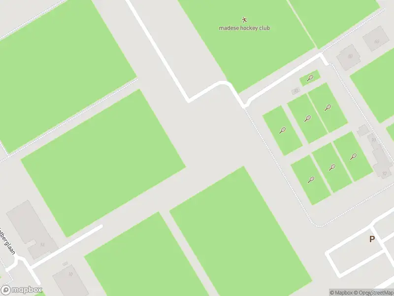 Traumahelikopter met grote spoed naar de Schietberglaan in Made