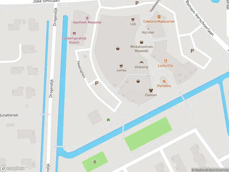 Ambulance met grote spoed naar de Vasalisplein in Spijkenisse