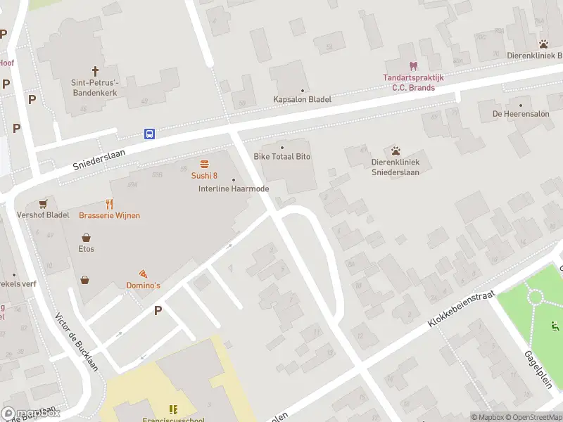 Brandweer met grote spoed naar de Kamille in Bladel vanwege reanimatie