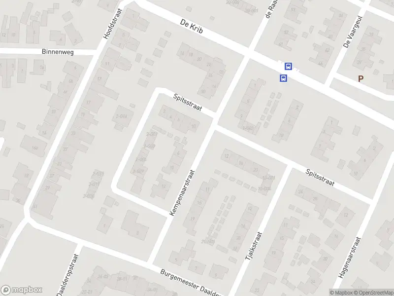 Brandweer met grote spoed naar de Spitsstraat in Tolkamer vanwege voertuigbrand