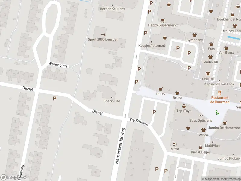 Brandweer met gepaste spoed naar de Lisidunalaan in Leusden