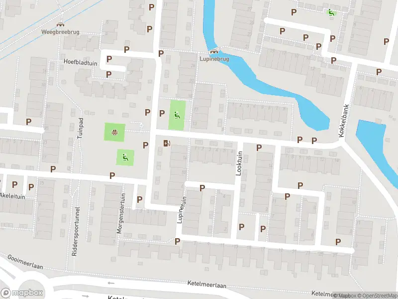 Ambulance met grote spoed naar de Zilverschoontuin in Leiden