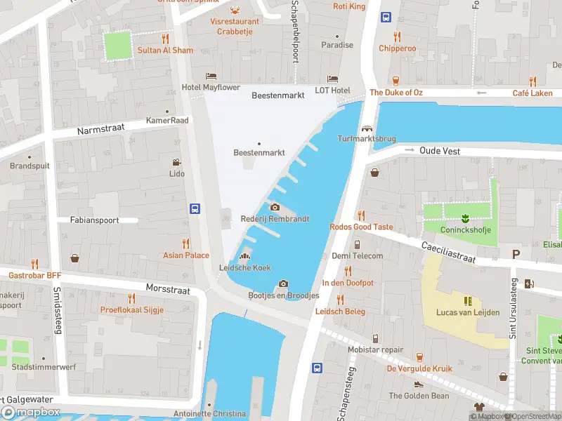 Brandweer met gepaste spoed naar de Blauwpoortshaven in Leiden