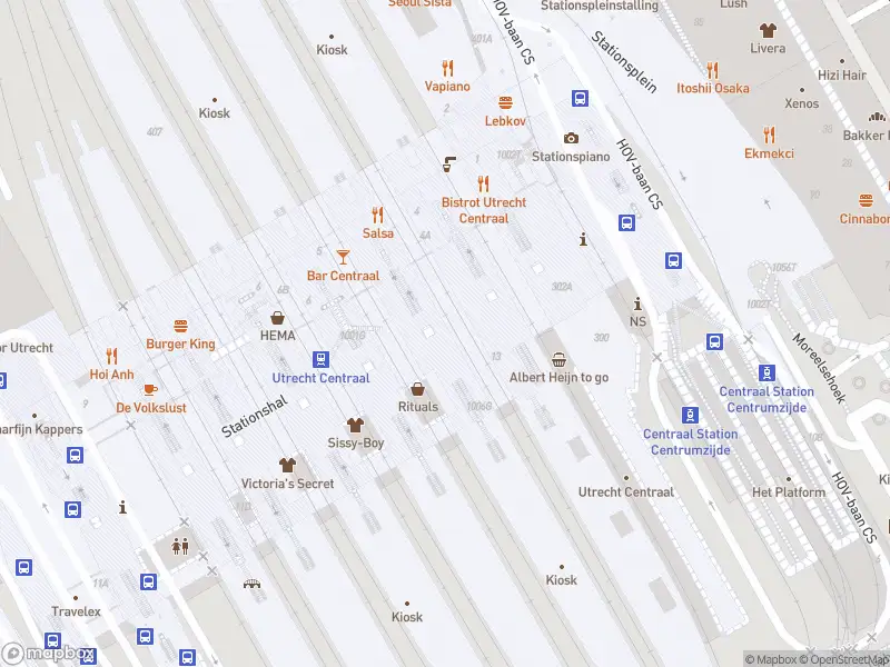 Brandweer met grote spoed naar de Stationshal in Utrecht vanwege reanimatie