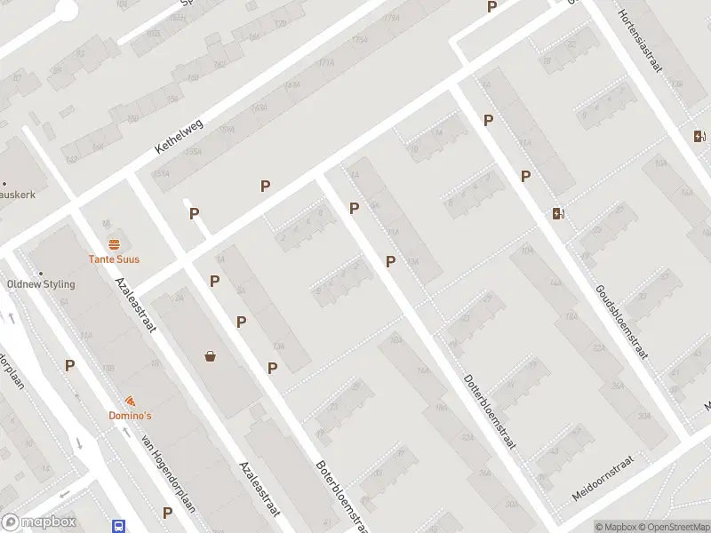 Ambulance met gepaste spoed naar de Dotterbloemstraat in Vlaardingen