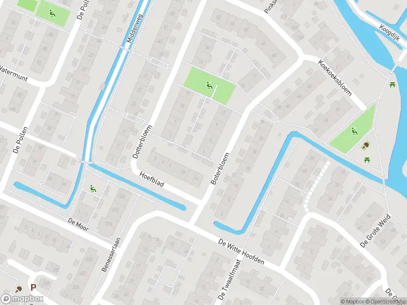 Overlastmelding Boterbloem in Uitgeest