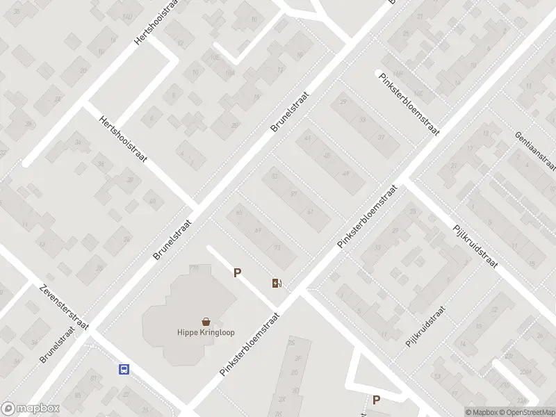 Brandweer met gepaste spoed naar de Speenkruidstraat in Assen