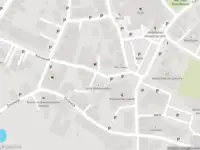 Brandweer met gepaste spoed naar de Komstraat in Lobith