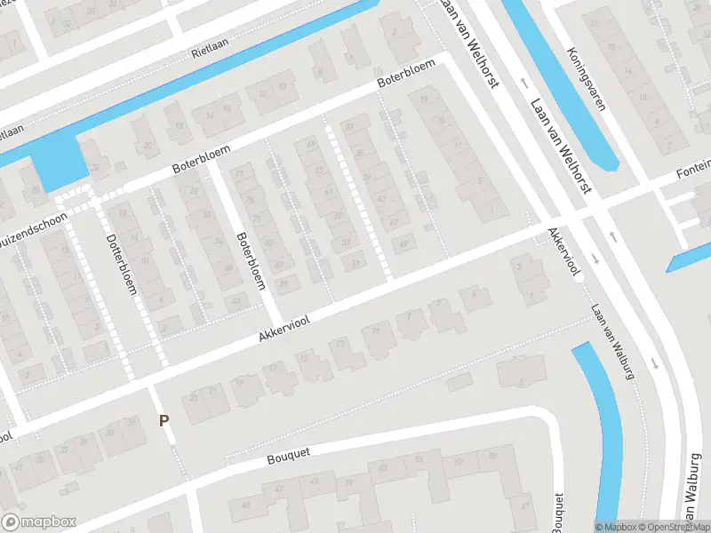 Overlastmelding Boterbloem in Hendrik-Ido-Ambacht gesloten