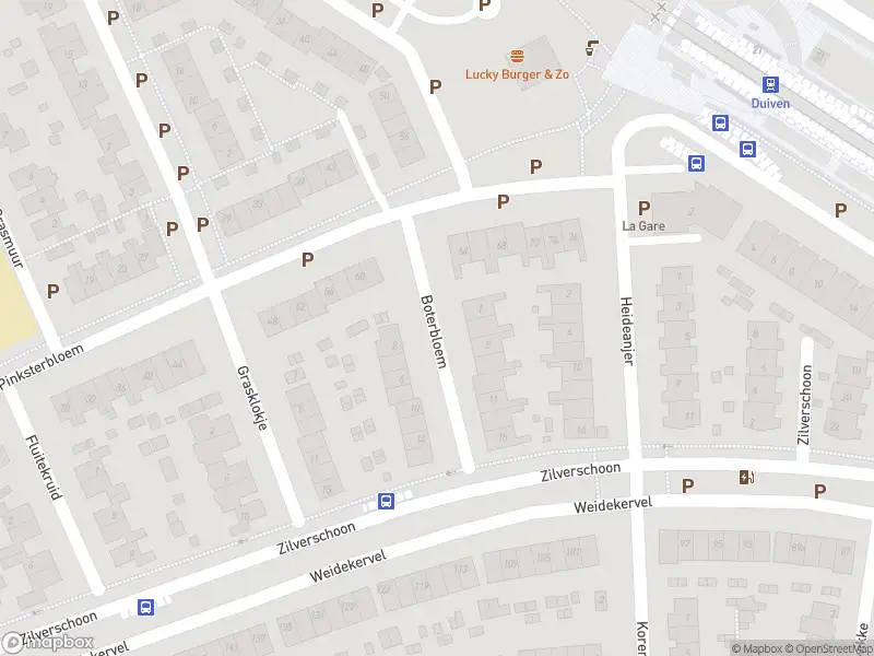 Overlastmelding Boterbloem in Duiven gesloten