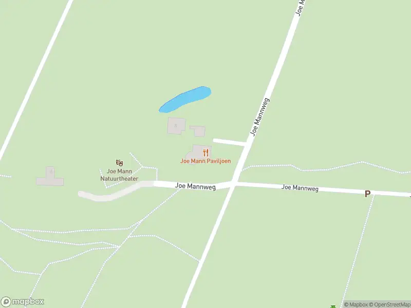 Brandweer met gepaste spoed naar de Joe Mannweg in Best