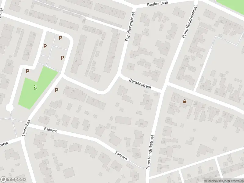 Overlastmelding Berkenstraat in Sint Jansteen