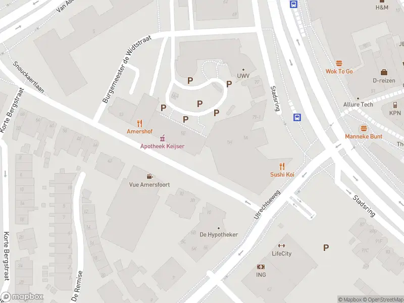 Brandweer met gepaste spoed naar de Arnhemsestraat in Amersfoort