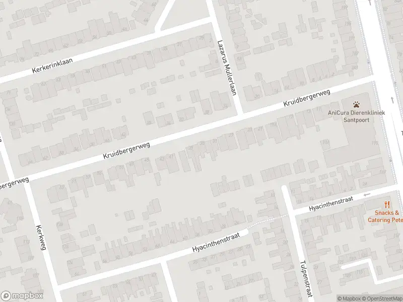 Ambulance met gepaste spoed naar de Hyacinthenstraat in Santpoort-Noord