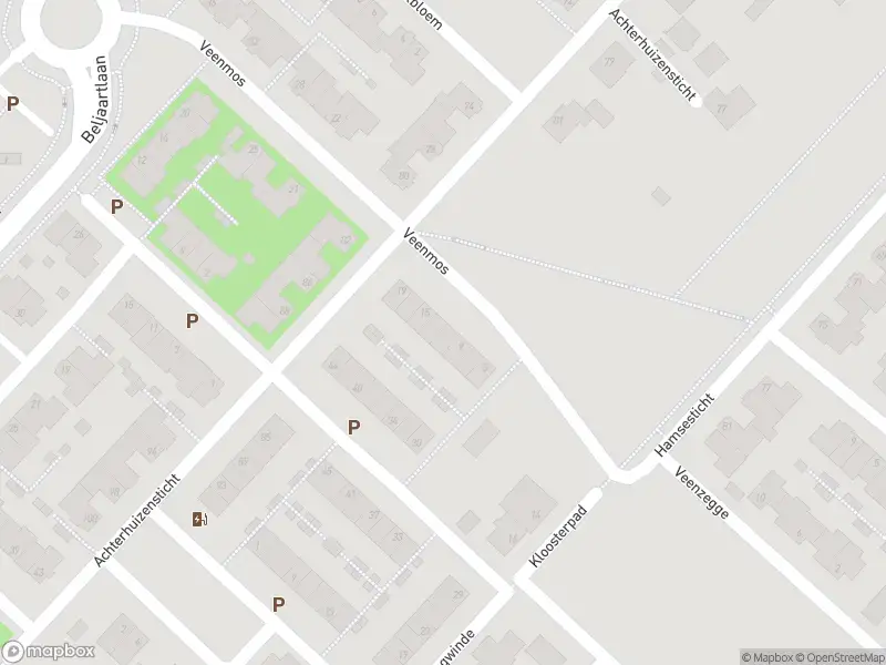 112 melding Overlastmelding Veenmos in Dongen