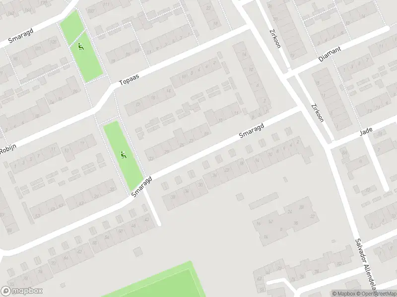 Brandweer met grote spoed naar de Smaragd in 's-Hertogenbosch vanwege gebouwbrand