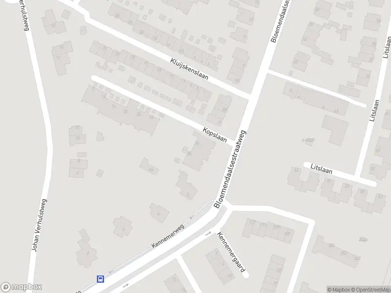 Overlastmelding Kopslaan in Santpoort-Zuid