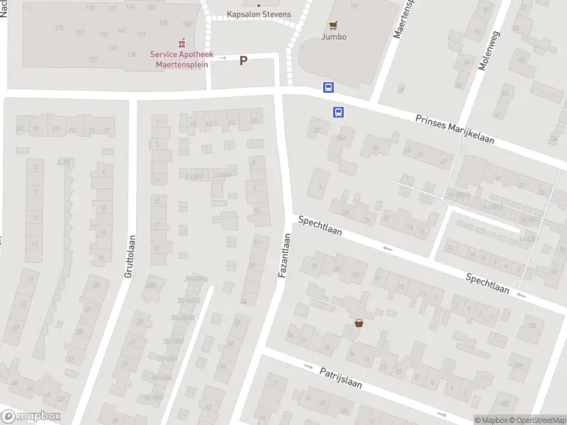 Brandweer met gepaste spoed naar de Nachtegaallaan in Maartensdijk