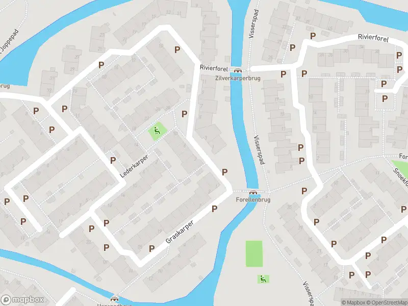 Ambulance met grote spoed naar de Zilverkarper in Leiden