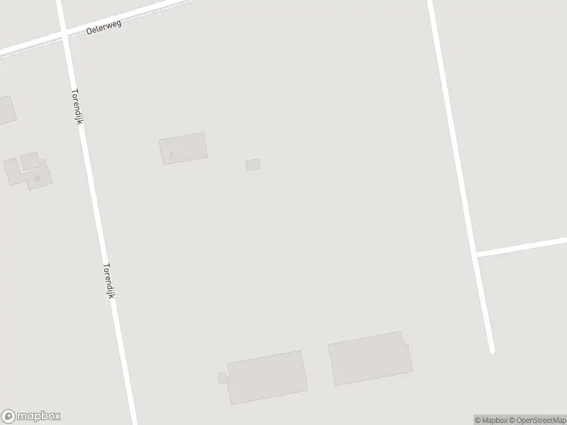 Brandweer met gepaste spoed naar de Torendijk in Ambt Delden