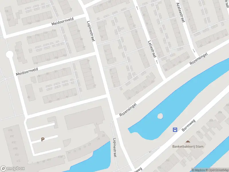 Ambulance met gepaste spoed naar de Lupinestraat in Capelle aan den IJssel