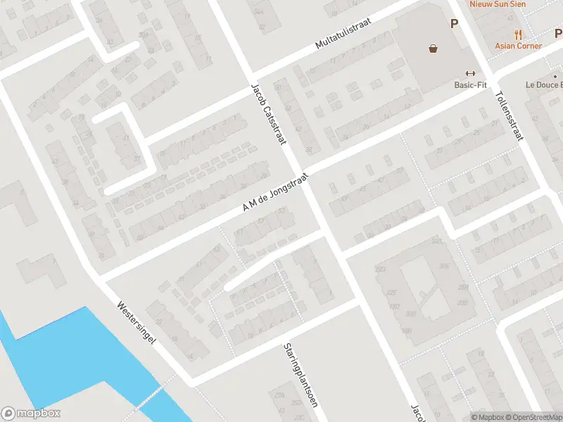 Ambulance met grote spoed naar de A.M. de Jongstraat in Spijkenisse