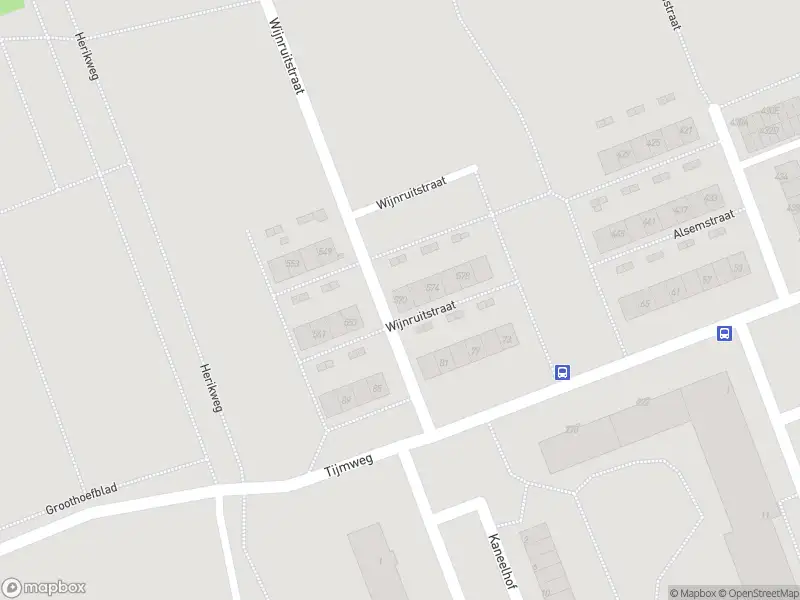 Ambulance met gepaste spoed naar de Wijnruitstraat in Hoogvliet Rotterdam