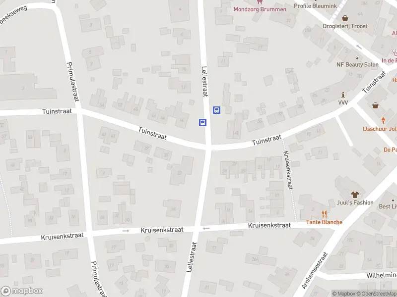 Overlastmelding Leliestraat in Brummen gesloten