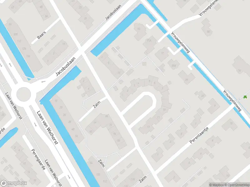 Overlastmelding Goudvis in Hendrik-Ido-Ambacht