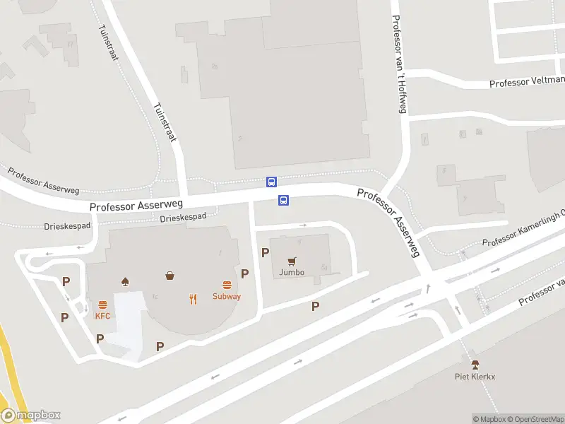 Politie met grote spoed naar de Prof. Asserweg in Waalwijk vanwege letsel