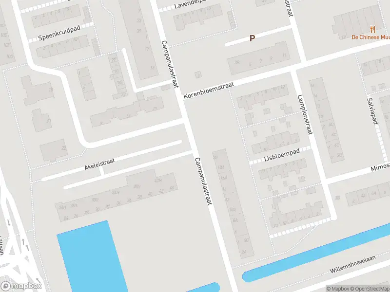 Ambulance met gepaste spoed naar de Campanulastraat in Spijkenisse