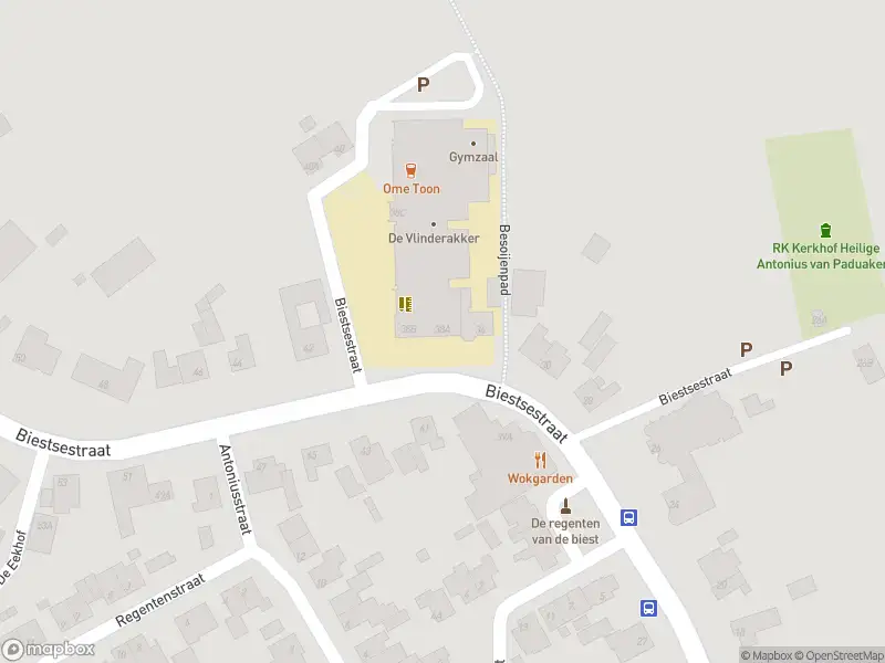 Overlastmelding Biestsestraat in Biest-Houtakker