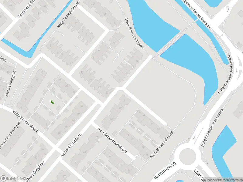 Overlastmelding Henriëtte Ronnerstraat in Hendrik-Ido-Ambacht