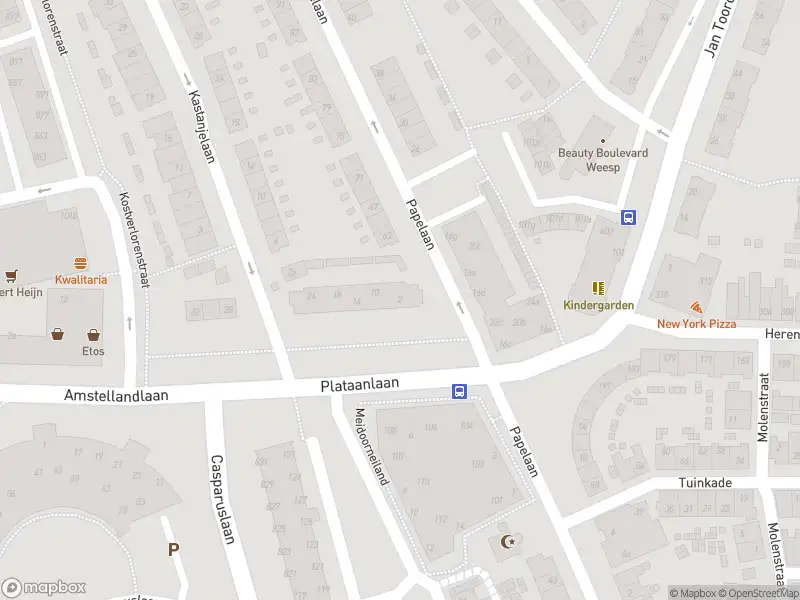 Brandweer met gepaste spoed naar de Plataanlaan in Weesp