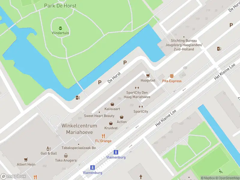 Brandweer met gepaste spoed naar de Ametisthorst in 's-Gravenhage vanwege wateroverlast