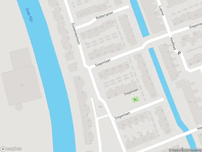 Overlastmelding Hoefblad in Rijnsburg