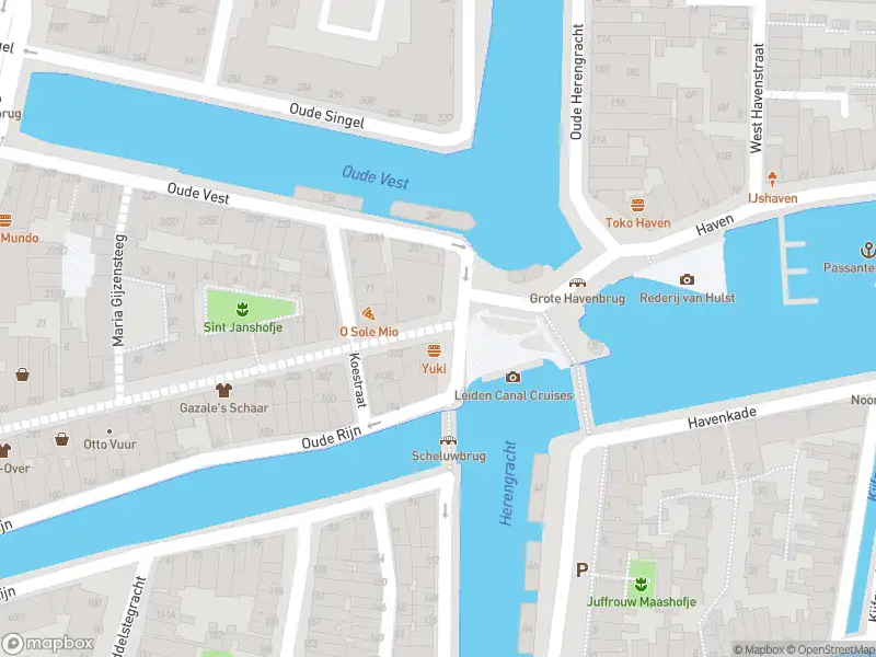 Ambulance met gepaste spoed naar de Haven in Leiden