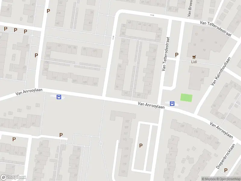 Overlastmelding Van Anrooylaan in Tilburg