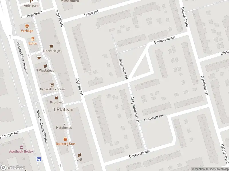 Ambulance met gepaste spoed naar de Begoniastraat in Spijkenisse