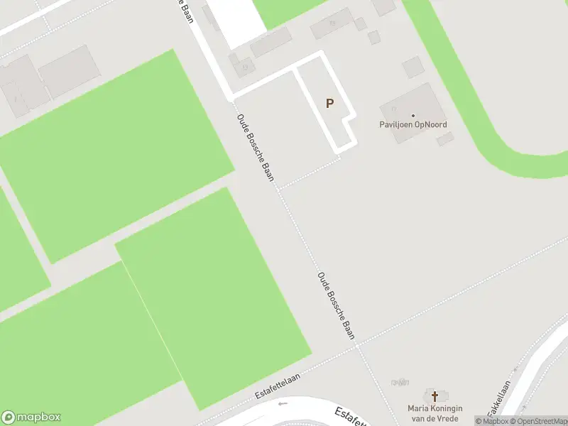 Brandweer met gepaste spoed naar de Oude Bossche Baan in Eindhoven