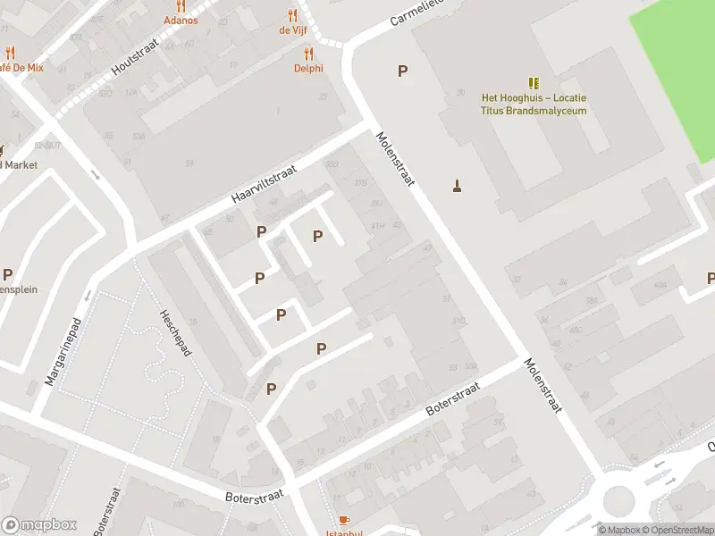 Brandweer met gepaste spoed naar de Raadhuislaan in Oss