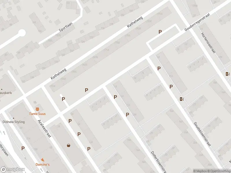 Ambulance met gepaste spoed naar de Dotterbloemstraat in Vlaardingen