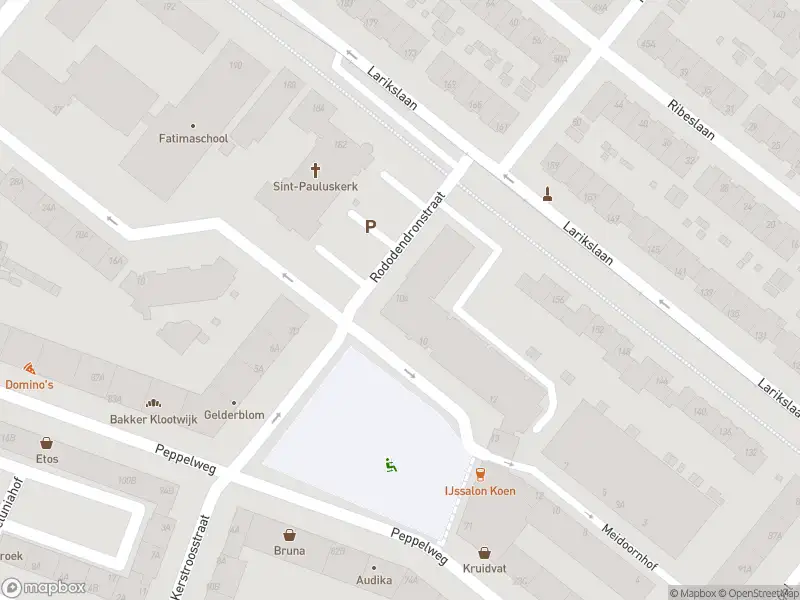 Ambulance met grote spoed naar de Rododendronstraat in Rotterdam