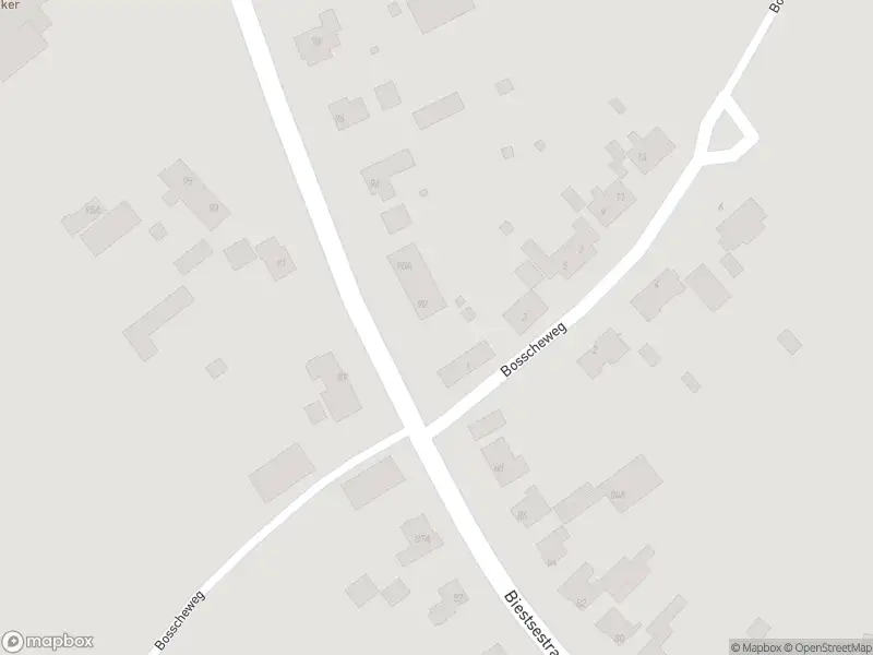 Overlastmelding Biestsestraat in Biest-Houtakker