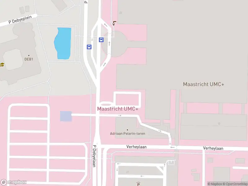 Brandweer met grote spoed naar de P Debyelaan in Maastricht vanwege voertuigbrand