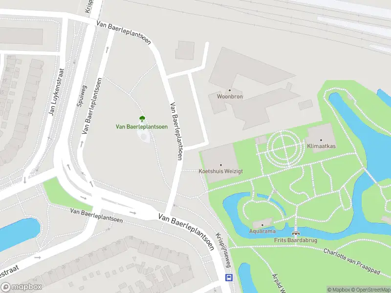 Anonieme overlastmelding Van Baerleplantsoen in Dordrecht